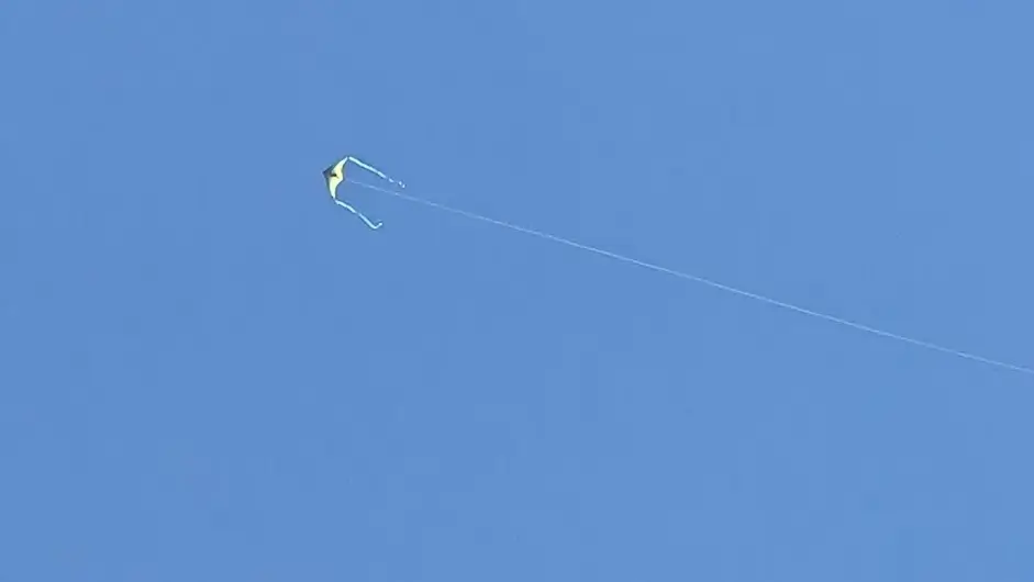 A kite flying in the air